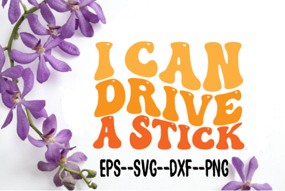 Review: I Can Drive a Stick Retro Wavy Svg for Embroidery
